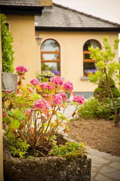 Newmarket-on-Fergus Cahergal Farmhouse B&B المظهر الخارجي الصورة
