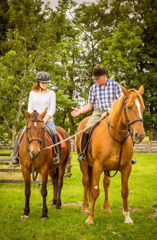 Newmarket-on-Fergus Cahergal Farmhouse B&B المظهر الخارجي الصورة